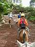 Les playmobil  cheval