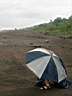 Le parapluie  pattes