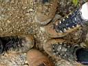 Chaussures aprs une rando